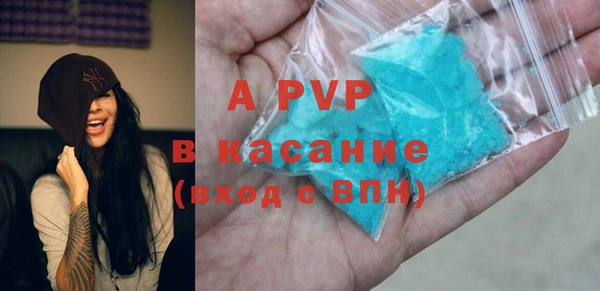 прущие грибы Арсеньев